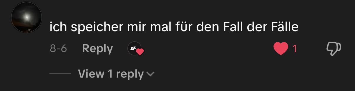 TikTok Kommentar 10