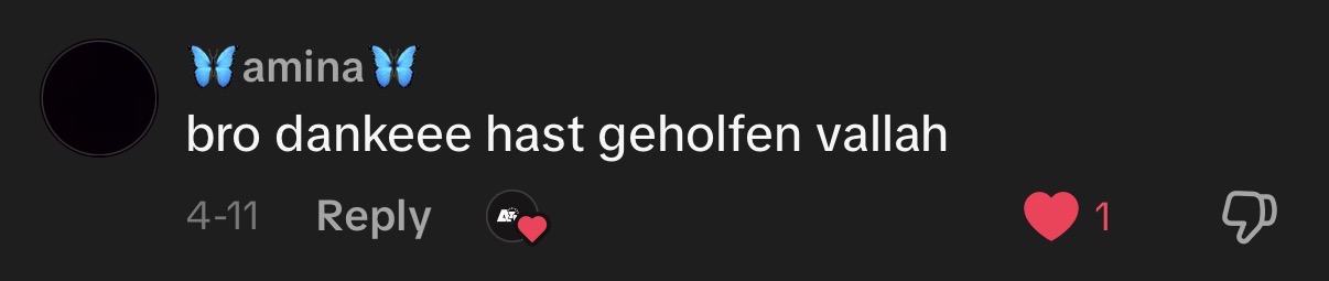 TikTok Kommentar 3
