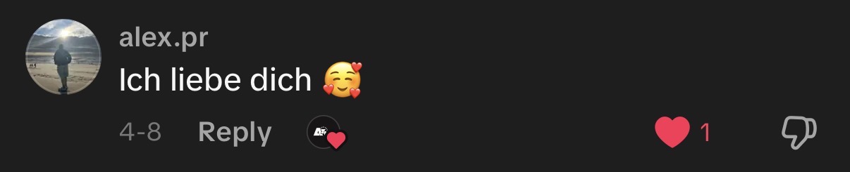 TikTok Kommentar 8